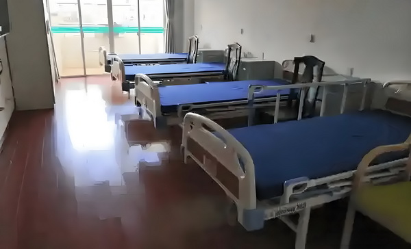 芸仙