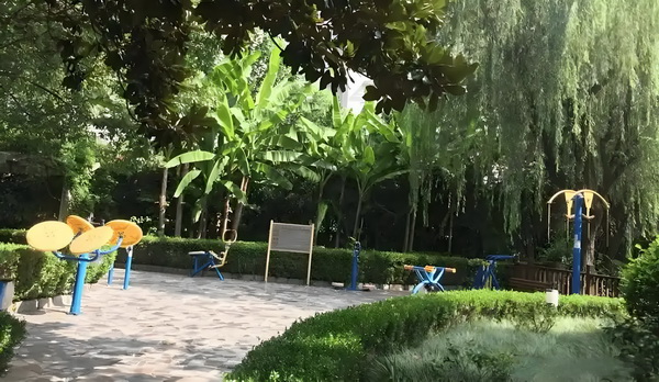 腾游九天