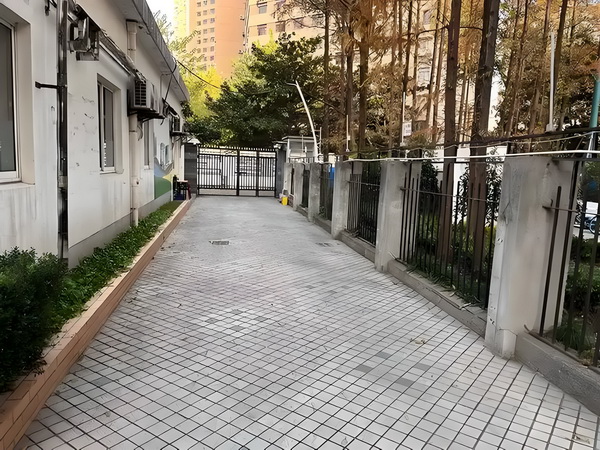 步步为营：修罗世子慵懒妃